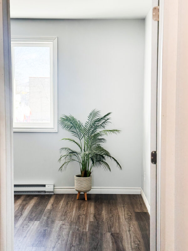Petite salle lumineuse avec plancher de bois, murs blancs et plante décorative, idéale pour rencontres professionnelles, consultations ou petites réunions.