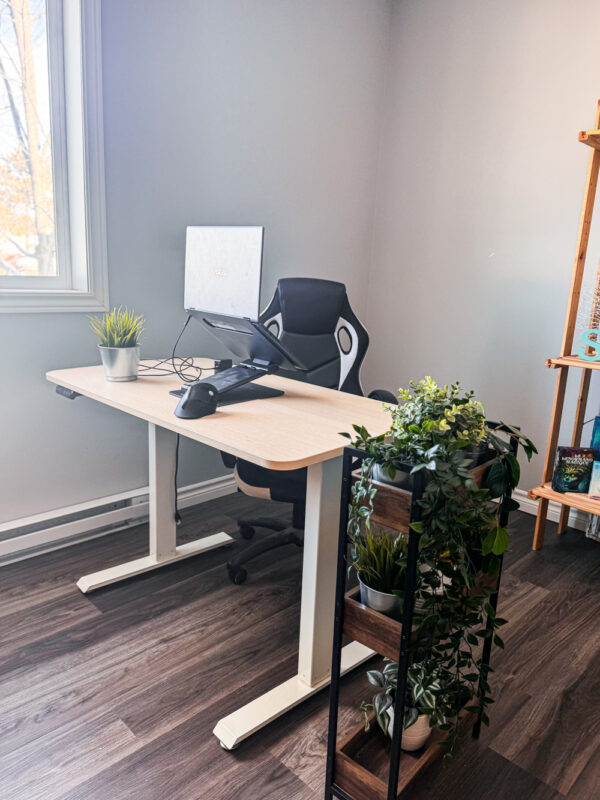 Bureau fermé de 15 x 15 pieds disponible en location mensuelle à Trois-Rivières. Espace lumineux et calme, idéal pour consultations, rencontres avec des clients ou travail professionnel dans un environnement confortable.
